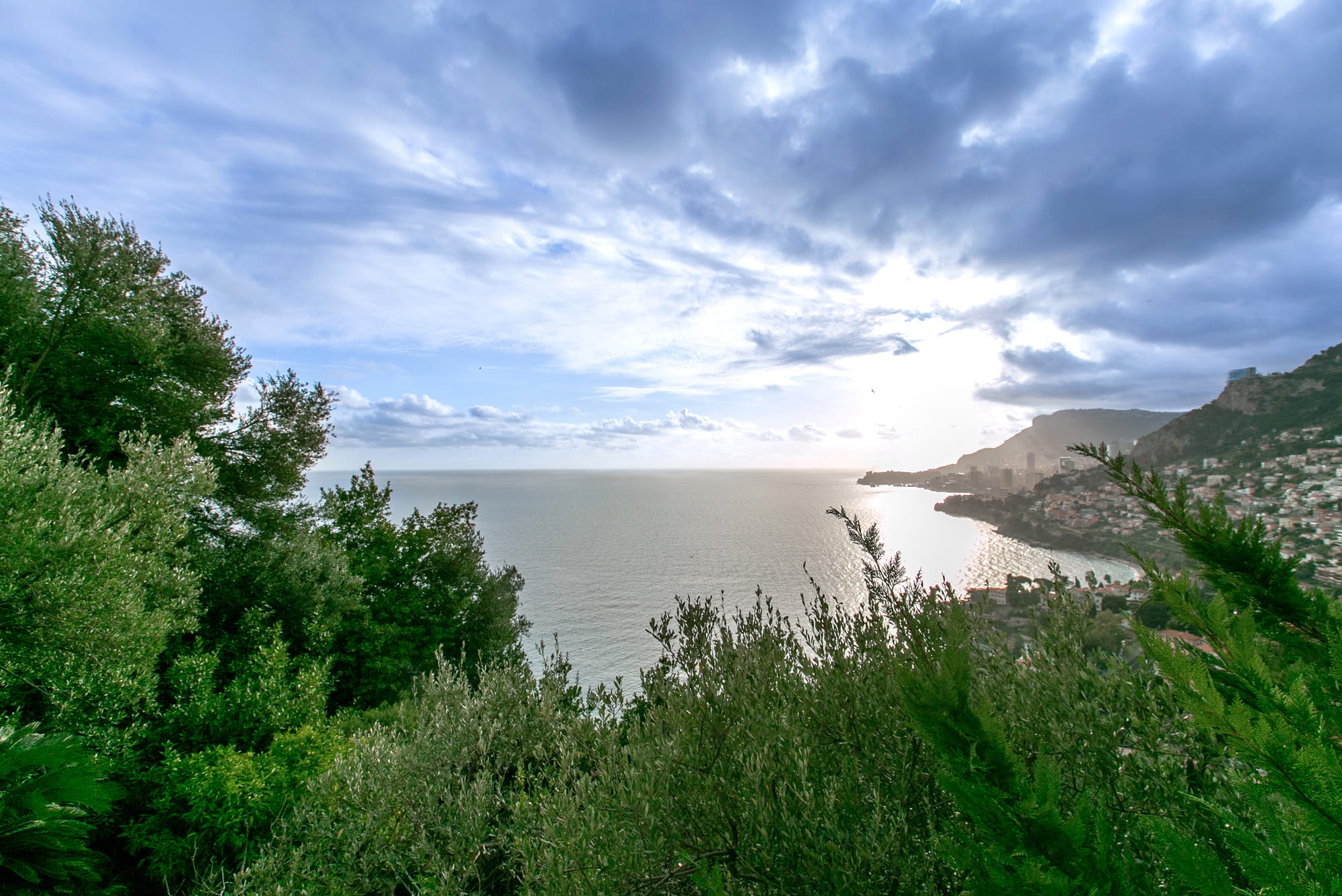 Vue panoramique Jardin